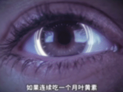 1733802590148793.gif